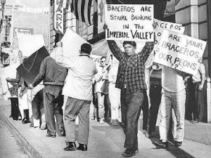 Protestors oppose the use of braceros in California's Imperial Valley lettuce harvest, 1961. California State University San Marcos.