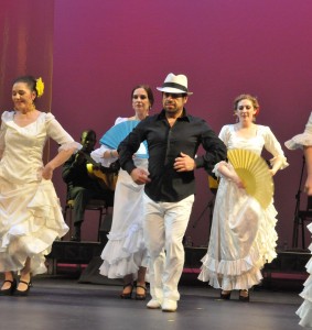 Flamenco Sur 2