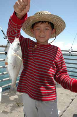 Catch of the Day, Day at the Docks