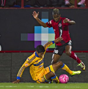 PHOTO CREDIT: Francisco Vega