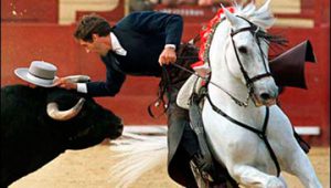 Pablo Hermoso de Mendoza