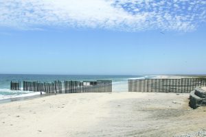 Ana Teresa-Borrando la Frontera