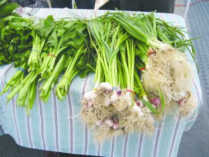 IRC Farmer's Market